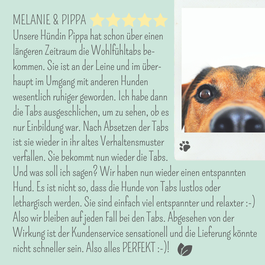 Wohlfühlmix für Hunde bei Stress, Angst, Unruhe und Hyperaktivität (150g)