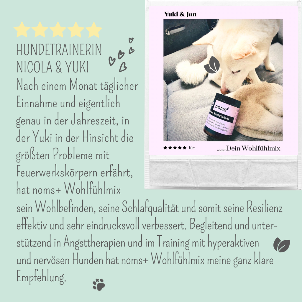 Wohlfühlmix für Hunde bei Stress, Angst, Unruhe und Hyperaktivität (150g)