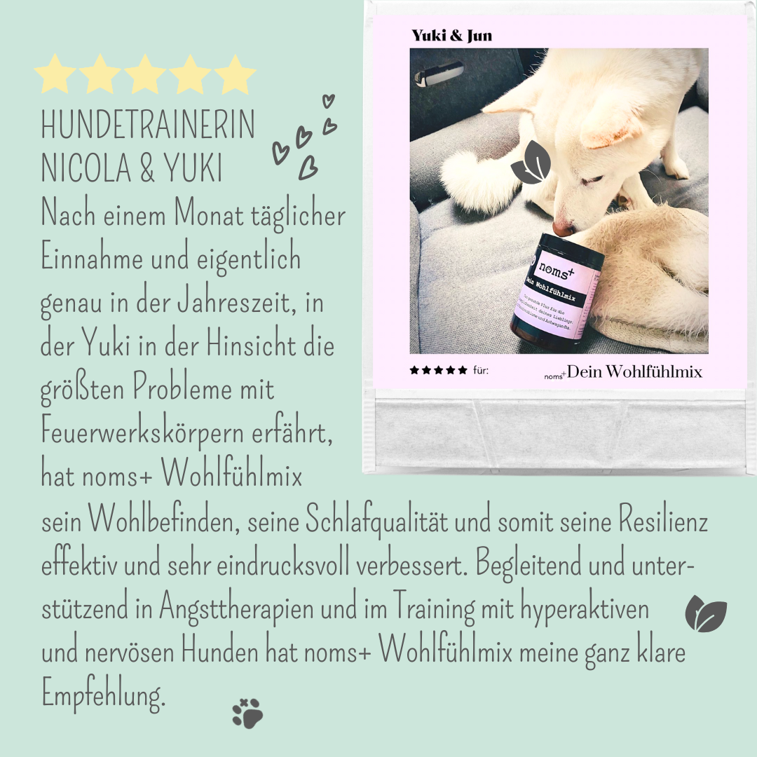 Wohlfühlmix für Hunde bei Stress, Angst, Unruhe und Hyperaktivität (150g)