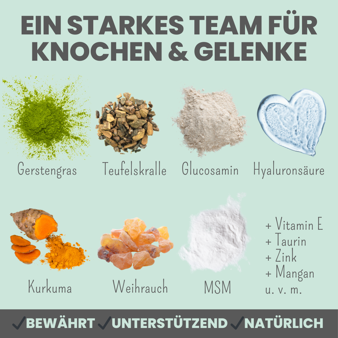 Gelenkmix Sensitiv & vegan für Hunde und Katzen mit Teufelskralle, Kurkuma & Glucosamin (150g)
