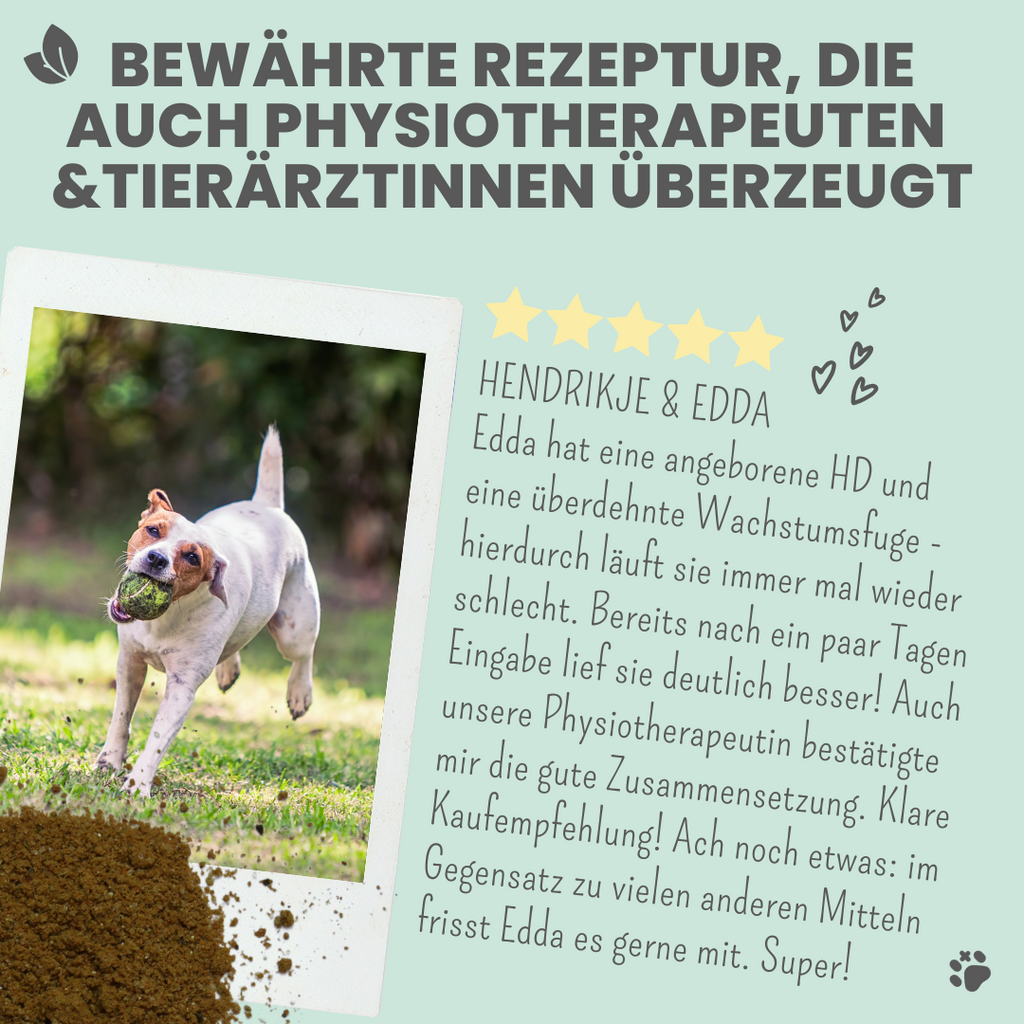 Gelenkmix Sensitiv & vegan für Hunde und Katzen mit Teufelskralle, Kurkuma & Glucosamin (150g)