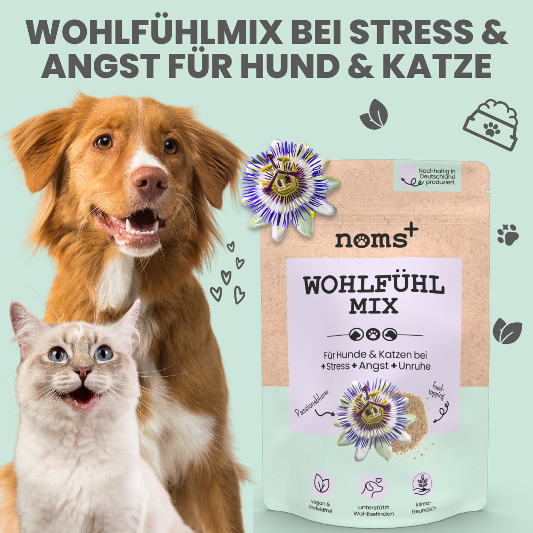 Wohlfühlmix für Hunde bei Stress, Angst, Unruhe und Hyperaktivität (150g)