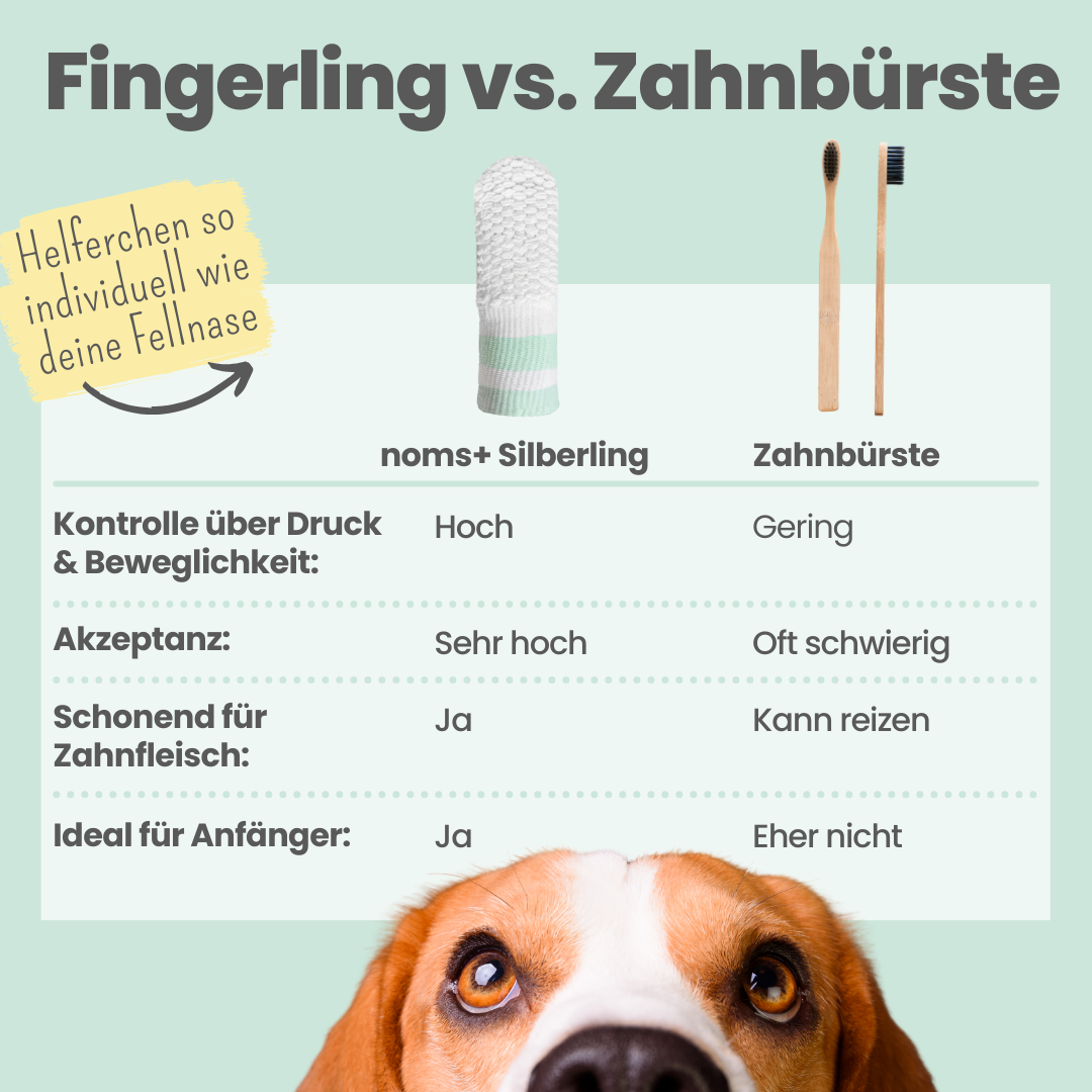 Silberling: Antibakterieller Zahnpflege-Fingerling für Hunde mit Silberionen (1 Stk.)