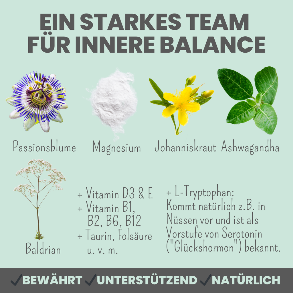 Wohlfühlmix für Hunde bei Stress, Angst, Unruhe und Hyperaktivität (150g)