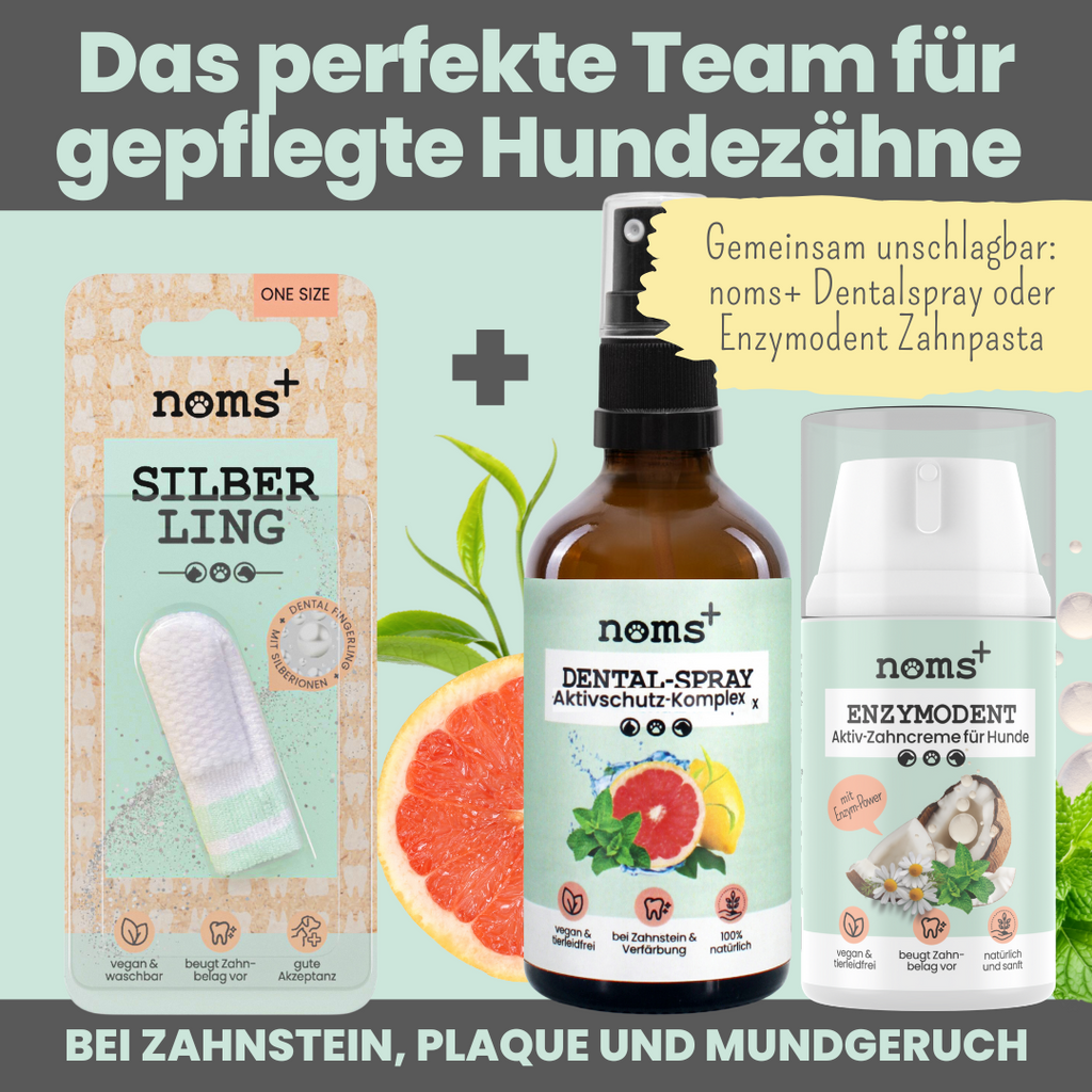 Silberling: Antibakterieller Zahnpflege-Fingerling für Hunde mit Silberionen (1 Stk.)
