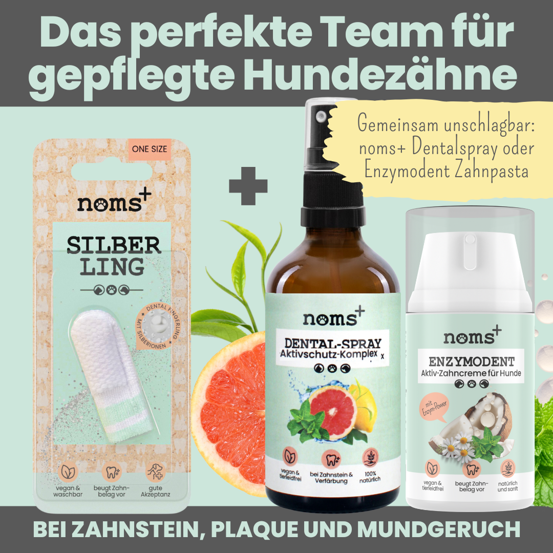 Silberling: Antibakterieller Zahnpflege-Fingerling für Hunde mit Silberionen (1 Stk.)