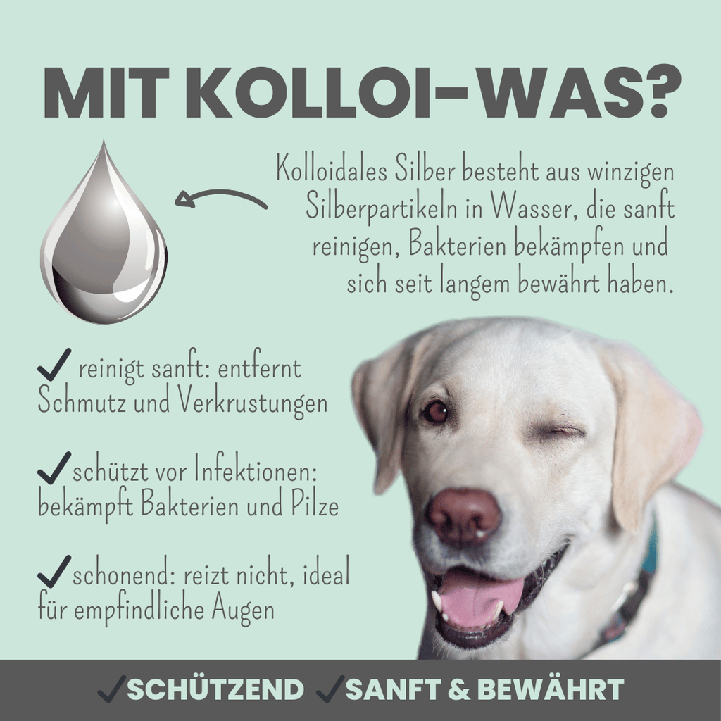 2-in-1 Augenfein Reinigung & Pflege für Hunde & Katzen mit kolloidalem Silber (50ml)