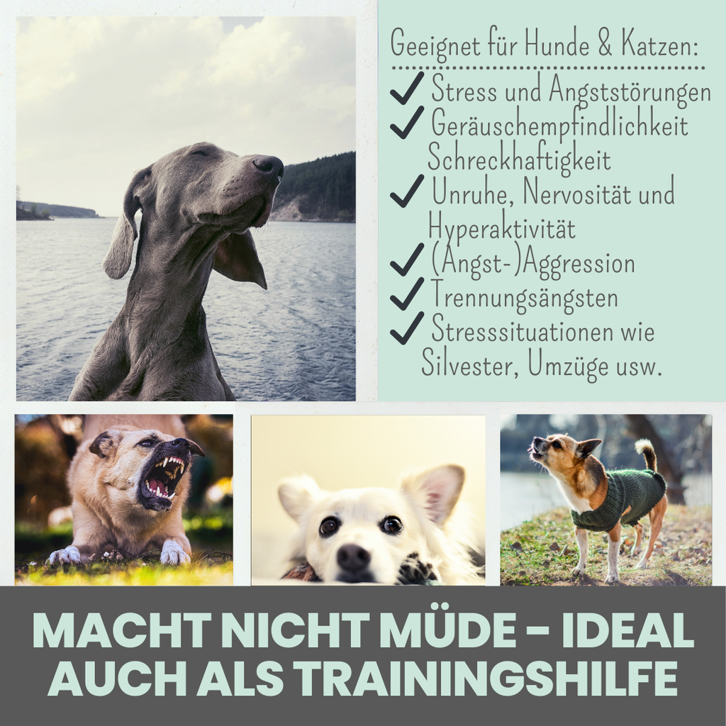 Wohlfühlmix für Hunde bei Stress, Angst, Unruhe und Hyperaktivität (150g)