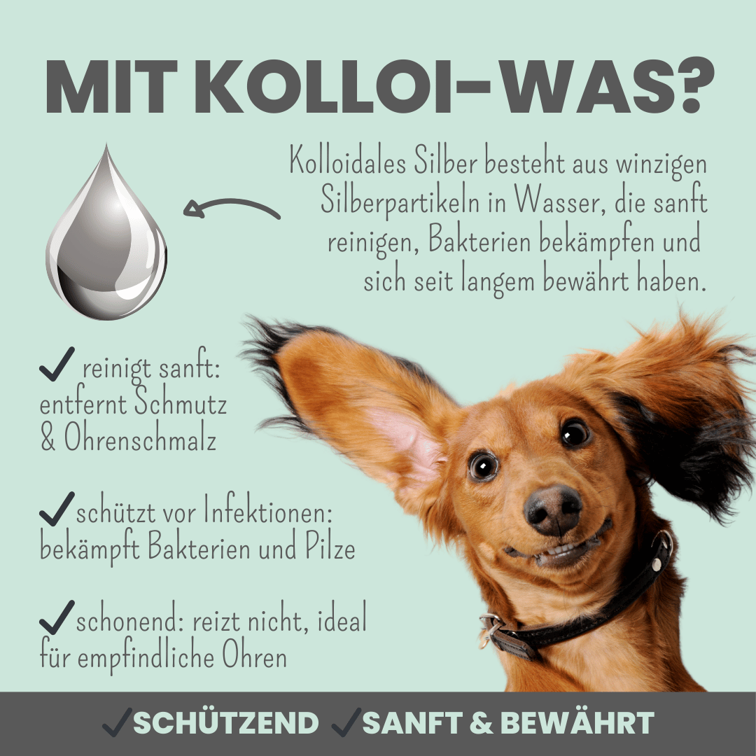 2-in-1 Ohrfein Reinigung & Pflege für Hunde & Katzen mit kolloidalem Silber (50ml)