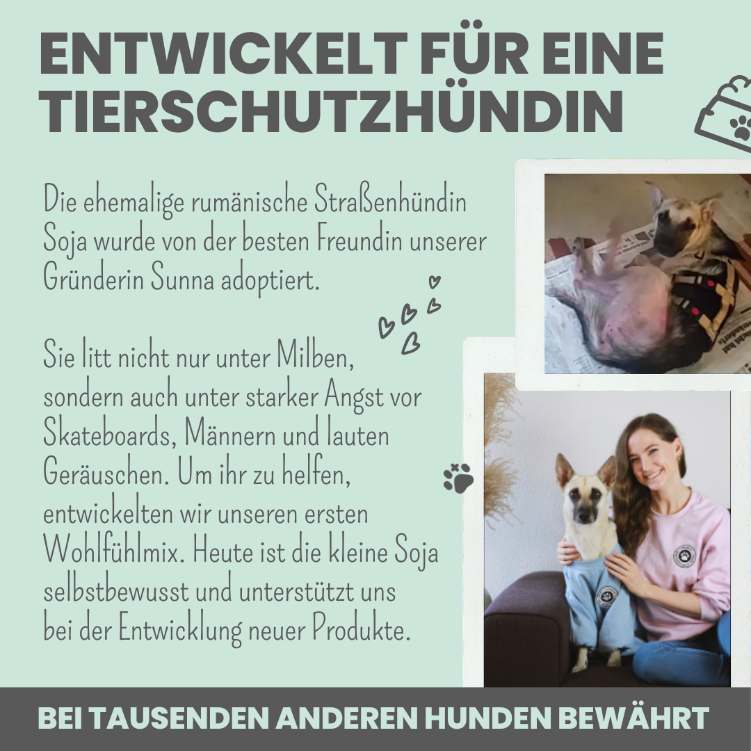Wohlfühlmix für Hunde bei Stress, Angst, Unruhe und Hyperaktivität (150g)
