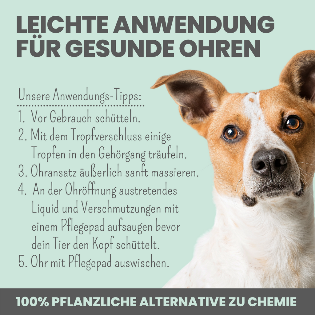 2-in-1 Ohrfein Reinigung & Pflege für Hunde & Katzen mit kolloidalem Silber (50ml)
