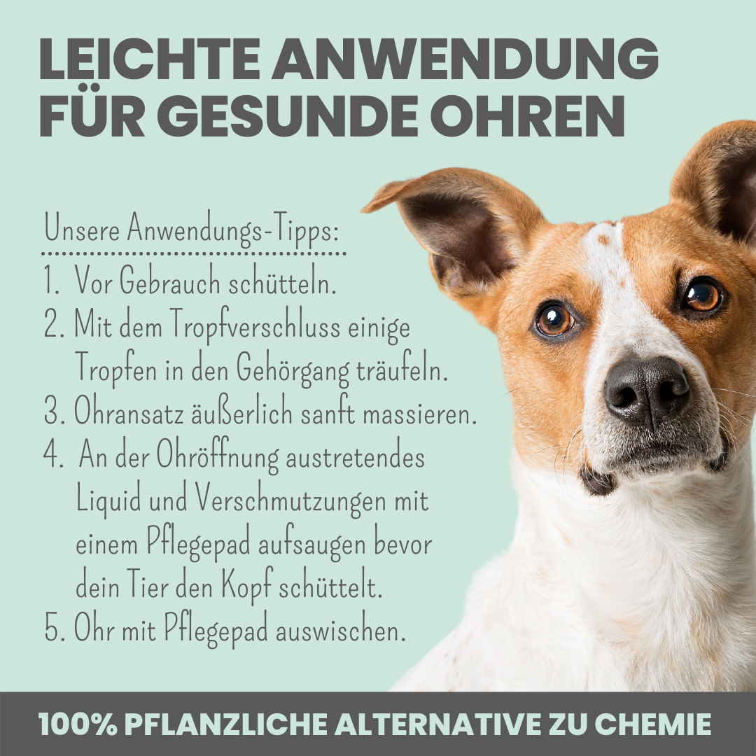 2-in-1 Ohrfein Reinigung & Pflege für Hunde & Katzen mit kolloidalem Silber (50ml)