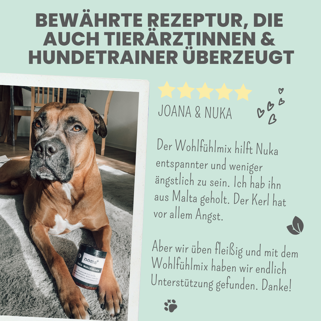 Wohlfühlmix für Hunde bei Stress, Angst, Unruhe und Hyperaktivität (150g)