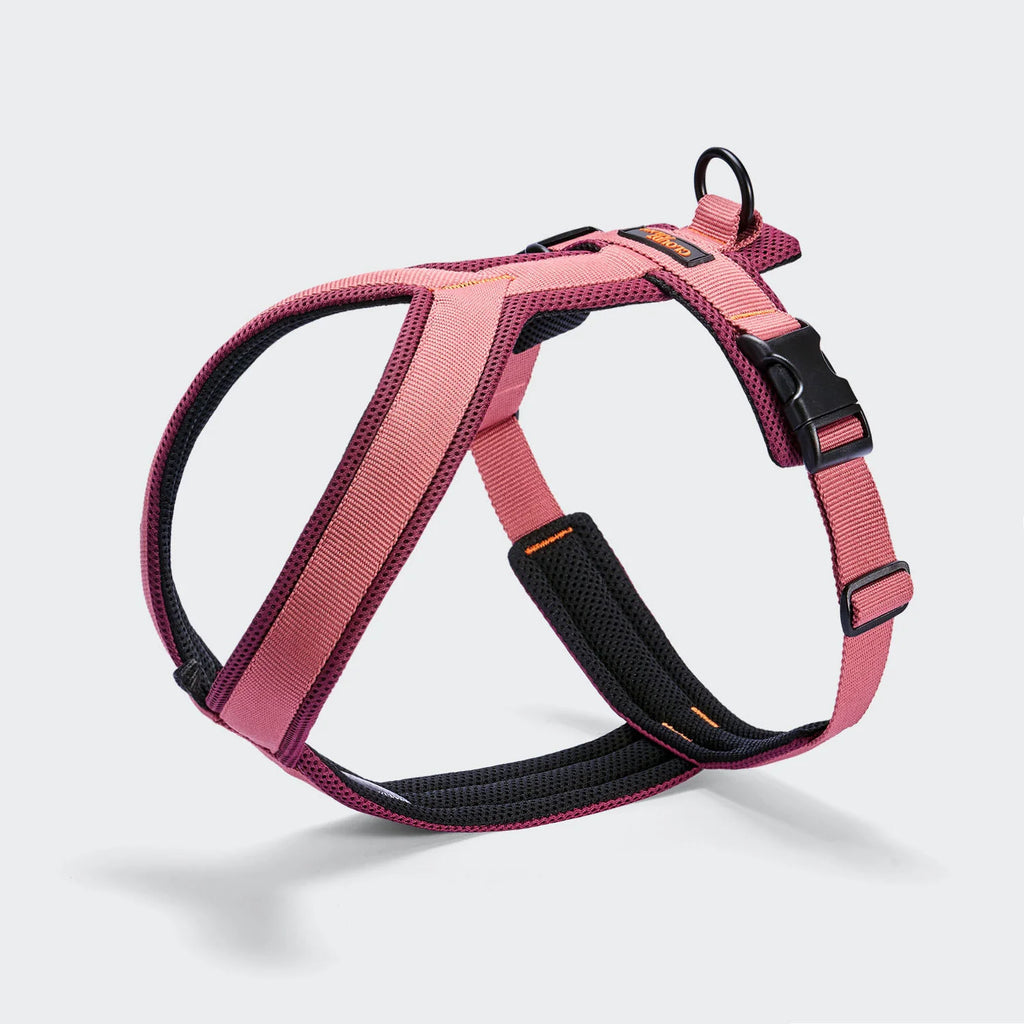 Y-1 Geschirr AKTIV Air-Mesh, verschiedene Farben
