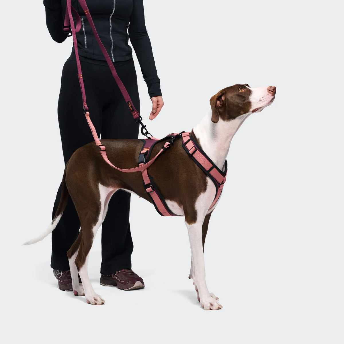 Y-3 Geschirr AKTIV Softshell, verschiedene Farben