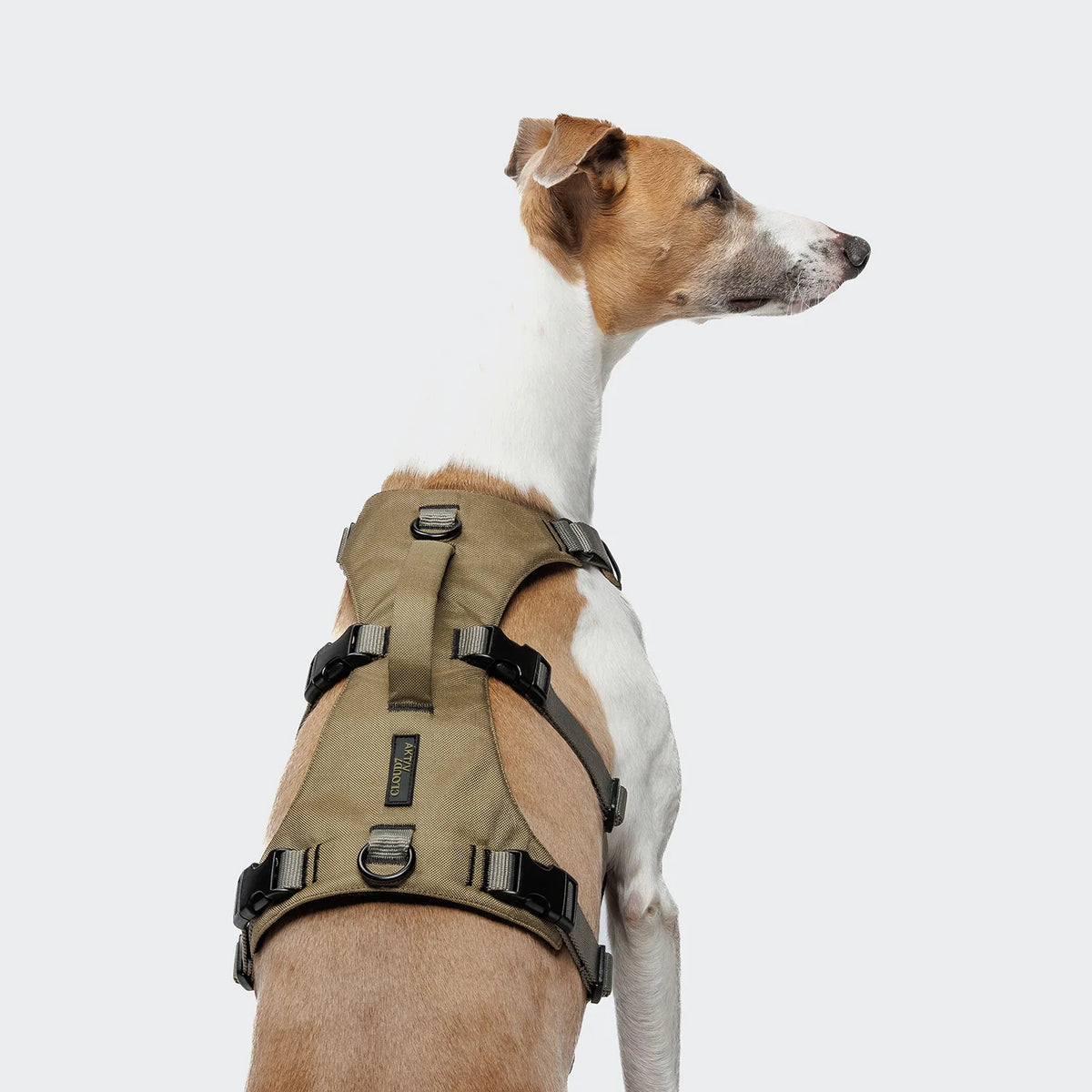 Y Sicherheitsgeschirr AKTIV Khaki/Grey