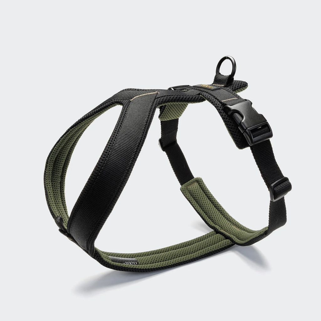 Y-1 Geschirr AKTIV Air-Mesh, verschiedene Farben