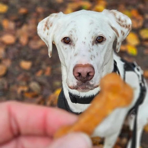 Süsskartoffel + Möhre Snack