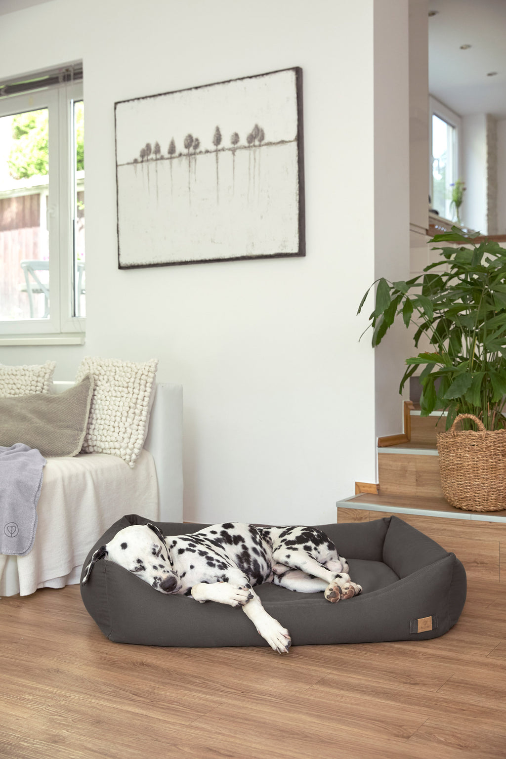 HUNDEBETT CORD - FRED, VERSCHIEDENE FARBEN & GRÖSSEN