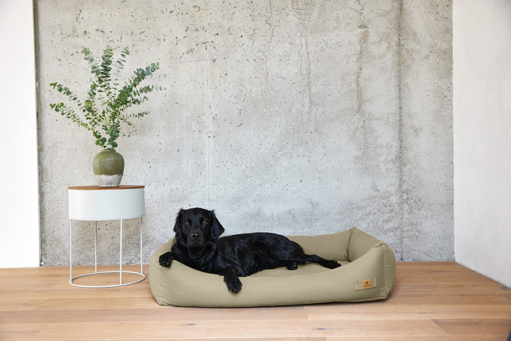 HUNDEBETT - FRED, VERSCHIEDENE FARBEN