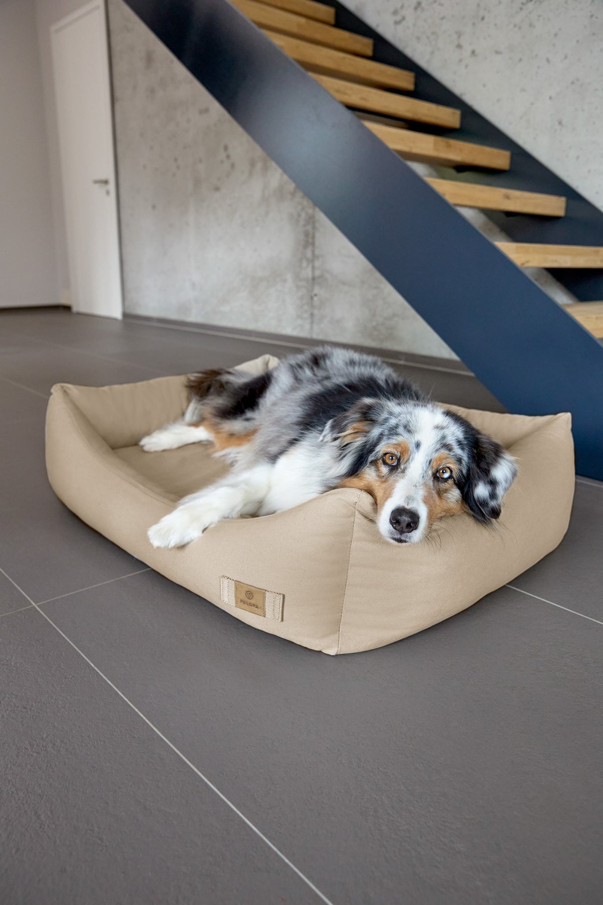 HUNDEBETT - FRED, VERSCHIEDENE FARBEN