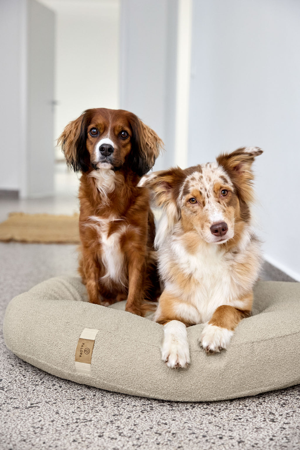 HUNDEBETT RUND - FIPPA, VERSCHIEDENE FARBEN