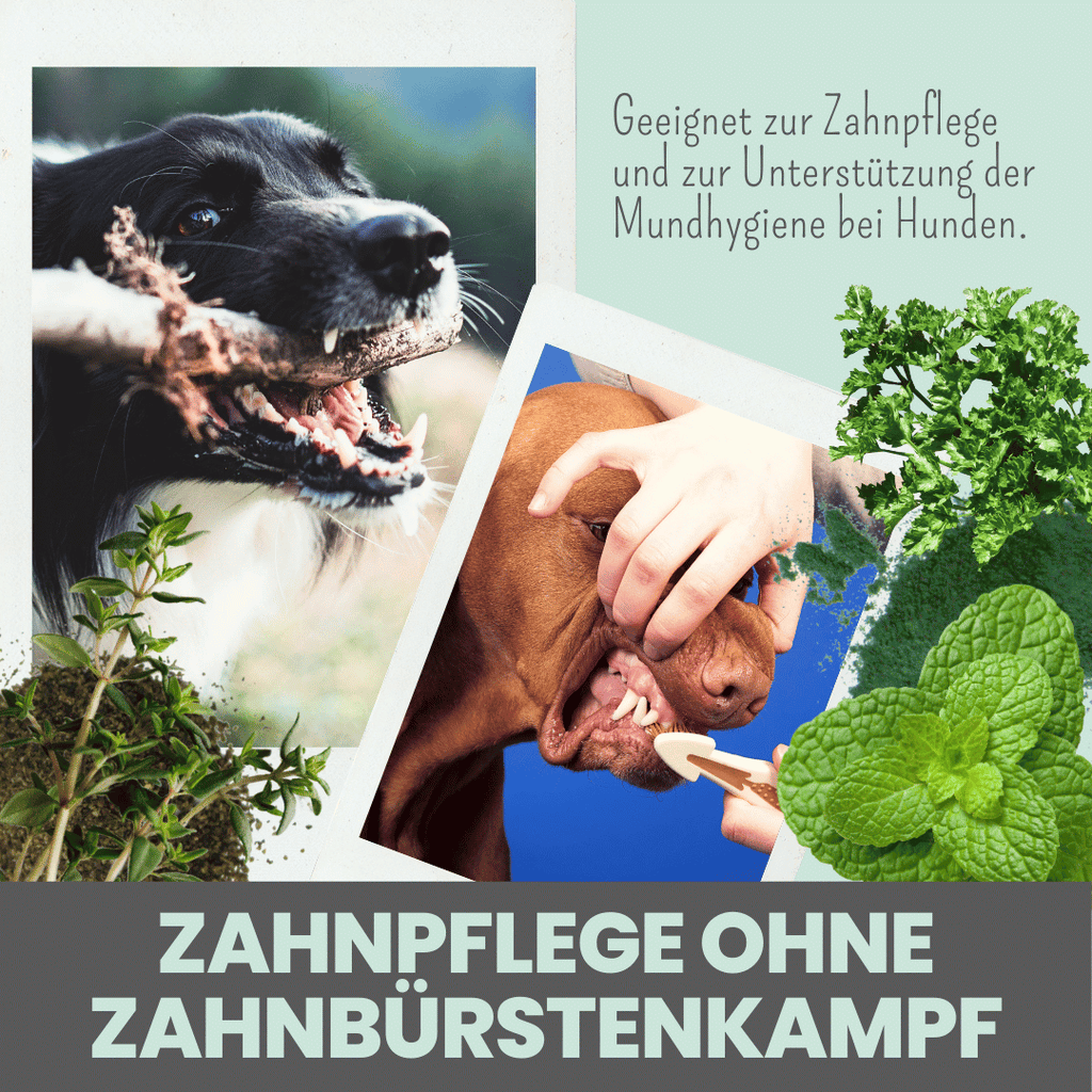 Dentalmix für Hunde zur Zahnpflege und für frischen Atem (150g)