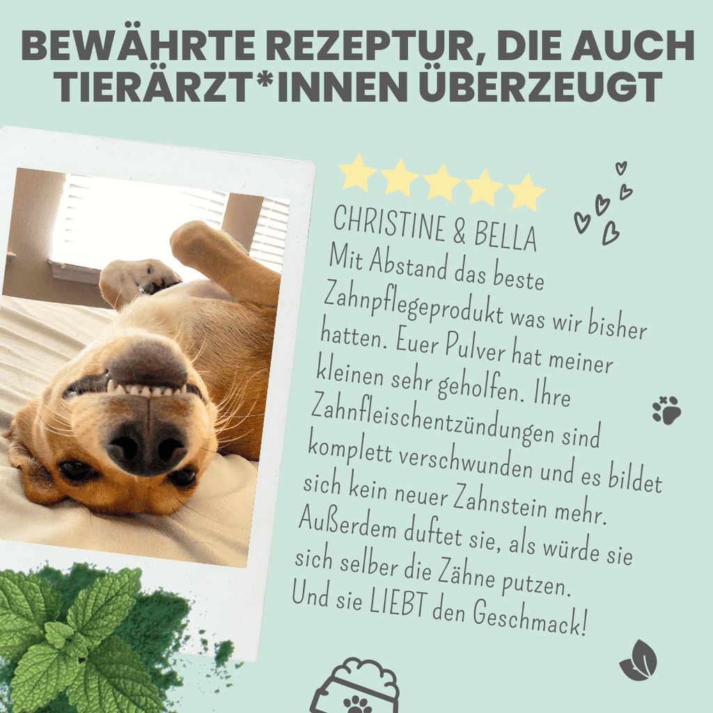 Dentalmix für Hunde zur Zahnpflege und für frischen Atem (150g)