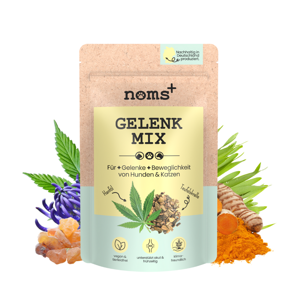 Gelenkmix Sensitiv & vegan für Hunde und Katzen mit Teufelskralle, Kurkuma & Glucosamin (150g)