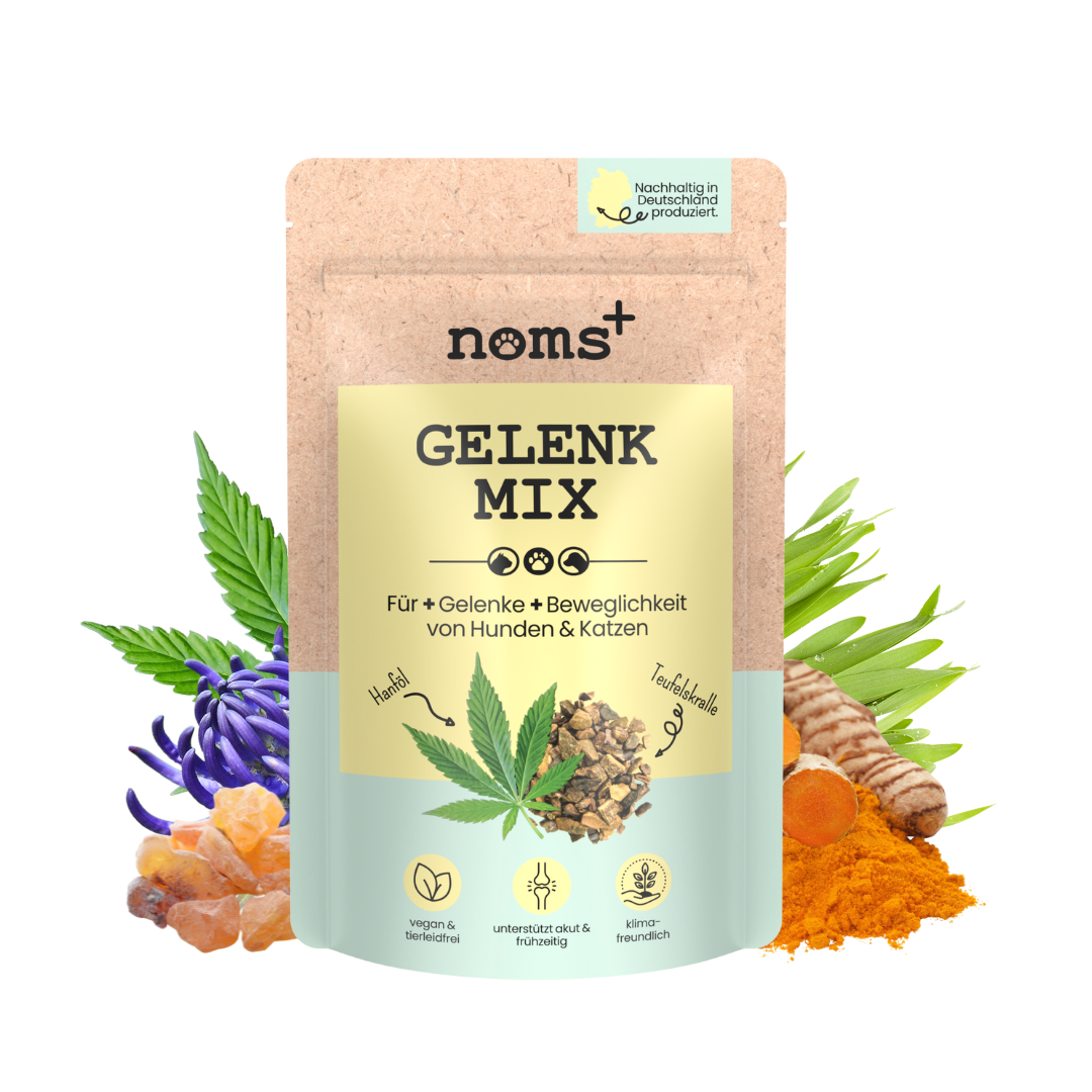 Gelenkmix Sensitiv & vegan für Hunde und Katzen mit Teufelskralle, Kurkuma & Glucosamin (150g)