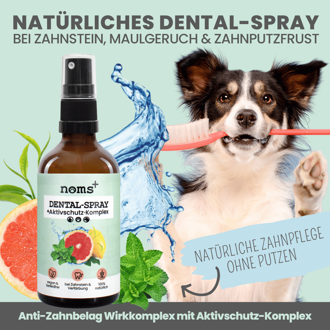 Dentalspray bei Zahnstein für Hunde und Katzen (100ml)