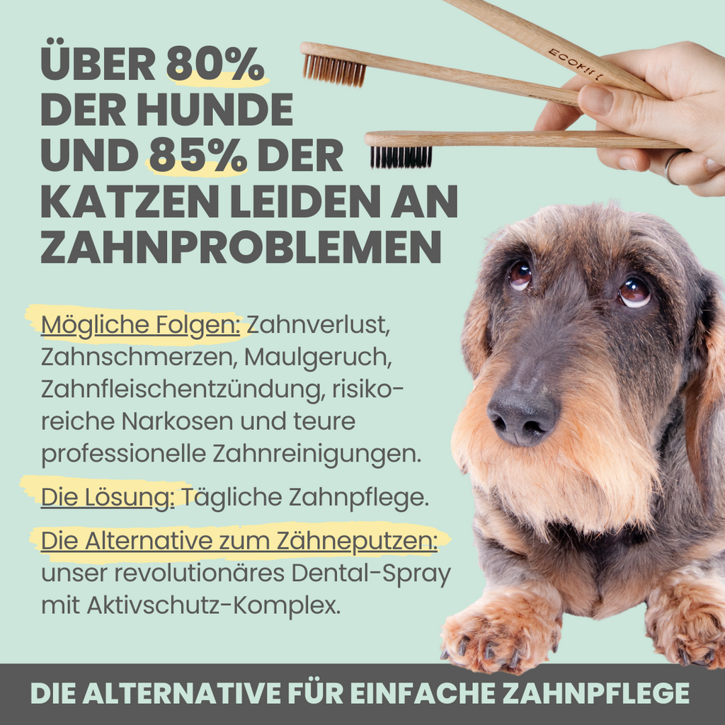 Dentalspray bei Zahnstein für Hunde und Katzen (100ml)