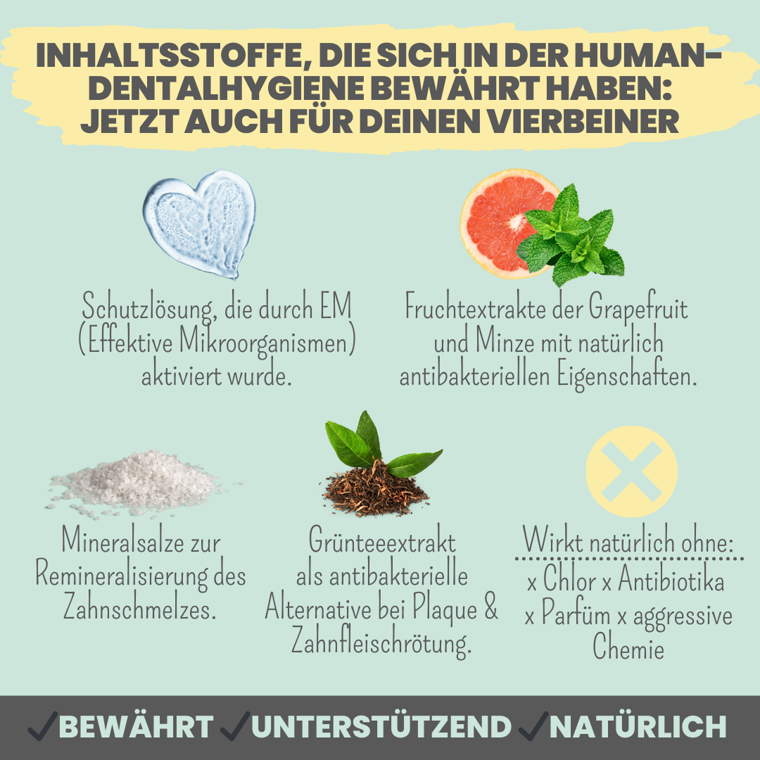 Dentalspray bei Zahnstein für Hunde und Katzen (100ml)