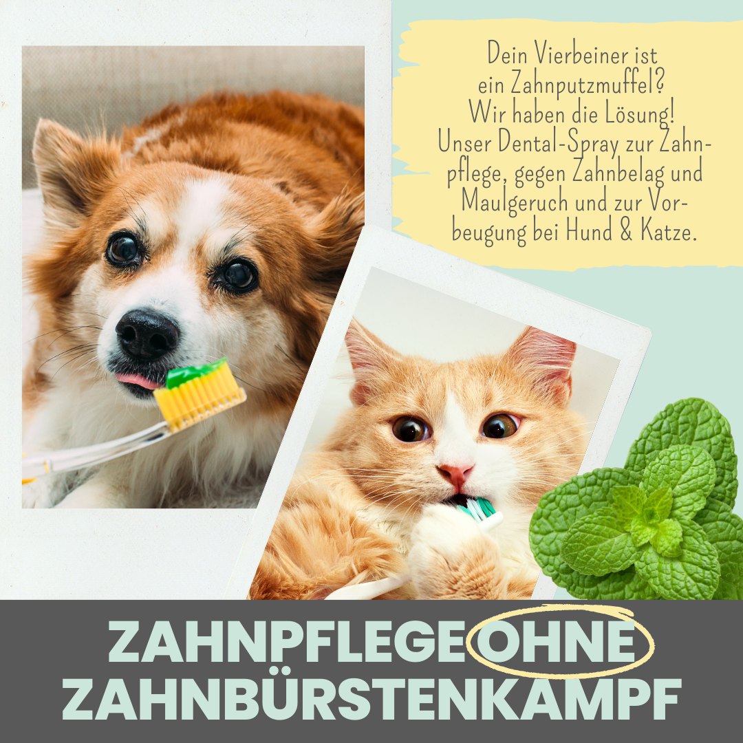 Dentalspray bei Zahnstein für Hunde und Katzen (100ml)