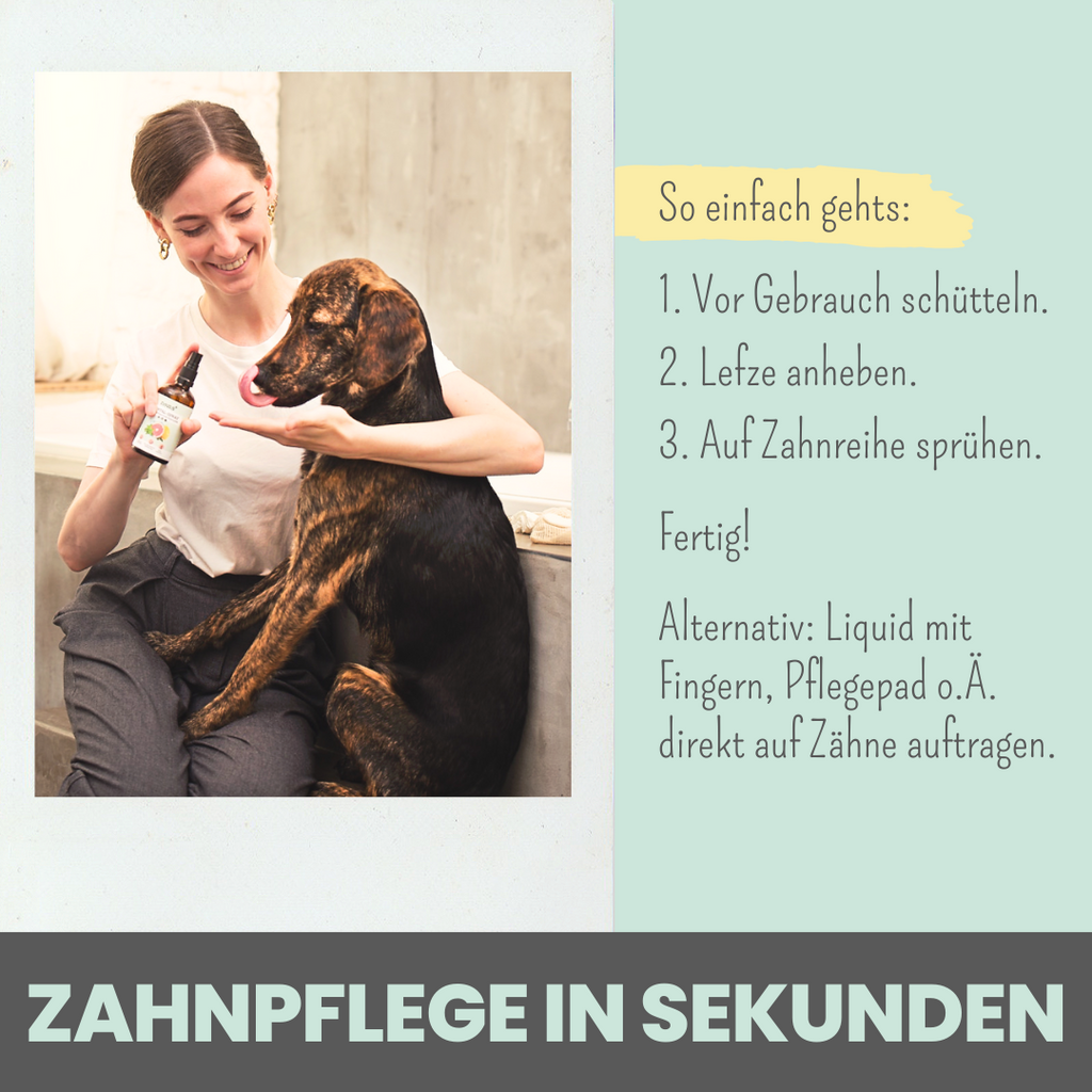 Dentalspray bei Zahnstein für Hunde und Katzen (100ml)