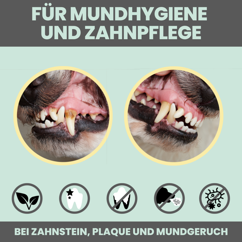 Dentalspray bei Zahnstein für Hunde und Katzen (100ml)
