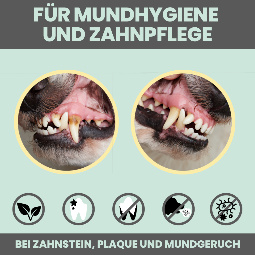 Dentalspray bei Zahnstein für Hunde und Katzen (100ml)