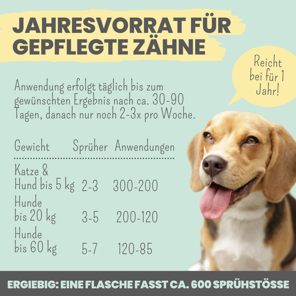 Dentalspray bei Zahnstein für Hunde und Katzen (100ml)