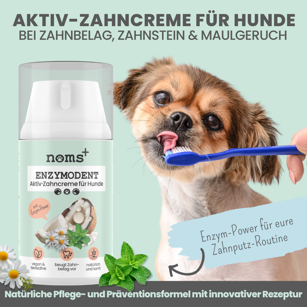Enzymodent: Enzymatische Zahnpasta für Hunde mit natürlicher Pflege- und Präventionsformel (75ml)