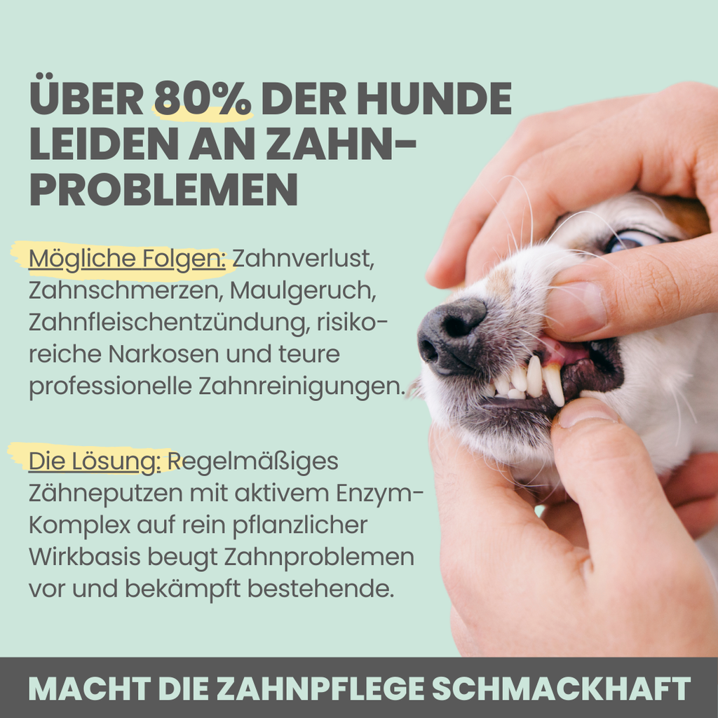 Enzymodent: Enzymatische Zahnpasta für Hunde mit natürlicher Pflege- und Präventionsformel (75ml)