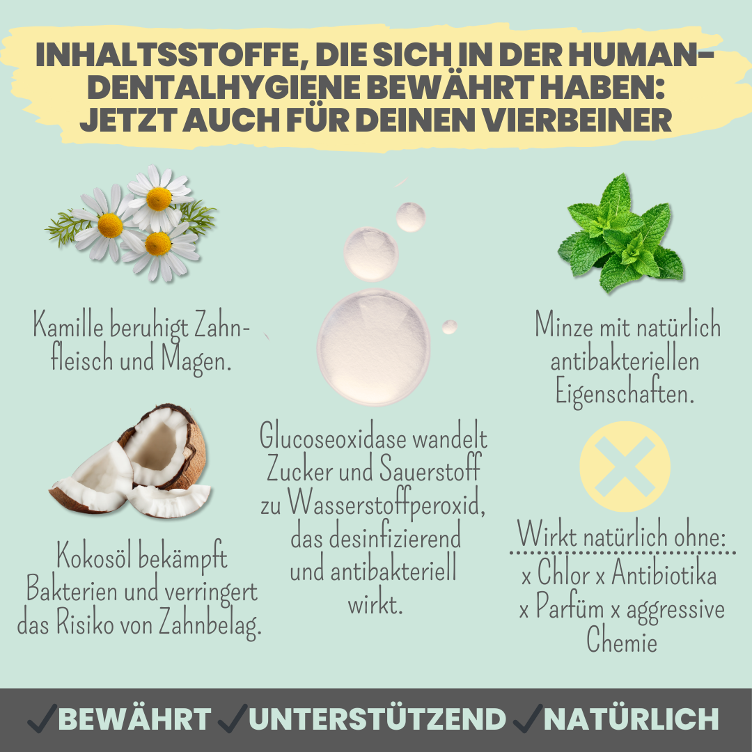 Enzymodent: Enzymatische Zahnpasta für Hunde mit natürlicher Pflege- und Präventionsformel (75ml)