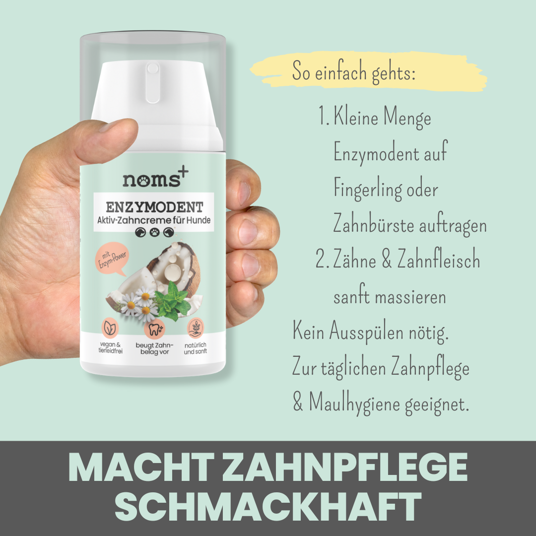 Enzymodent: Enzymatische Zahnpasta für Hunde mit natürlicher Pflege- und Präventionsformel (75ml)