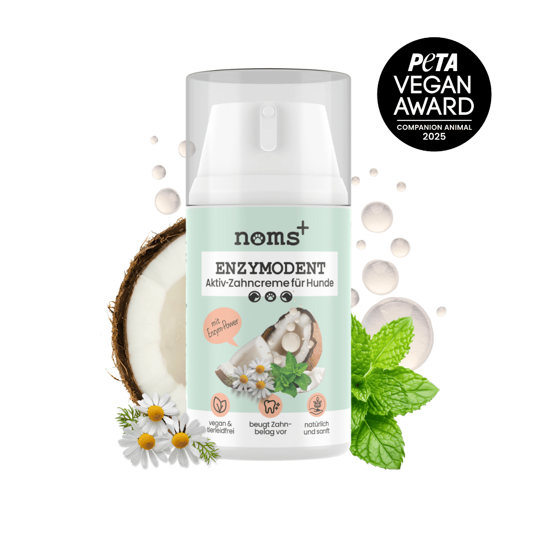 Enzymodent: Enzymatische Zahnpasta für Hunde mit natürlicher Pflege- und Präventionsformel (75ml)