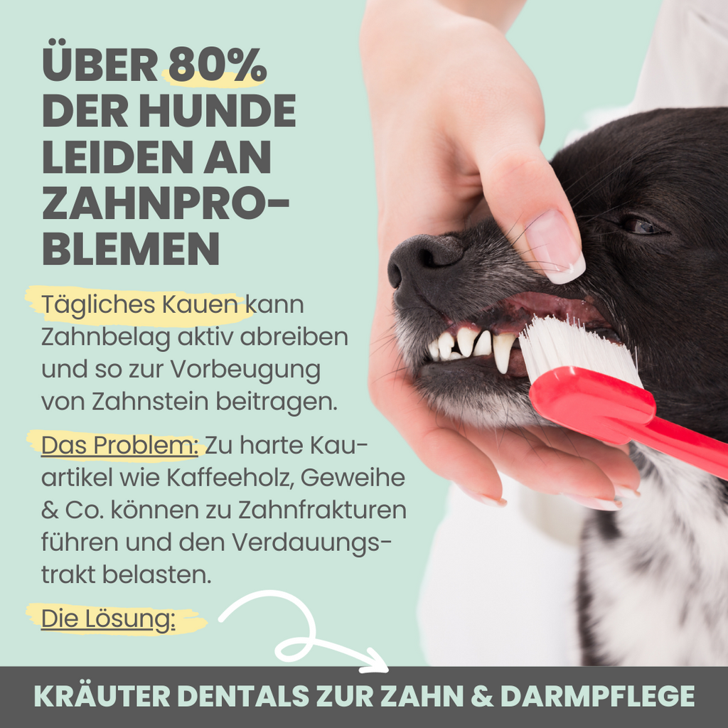 Kräuter Dentals für Hunde zur Zahn- und Darmpflege (150g)