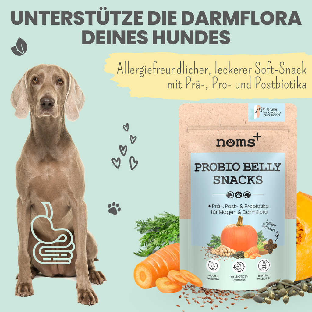 Probio Belly Snacks für Hunde mit BIOTICS³-Komplex: Präbiotika, Probiotika & Postbiotika (200g)