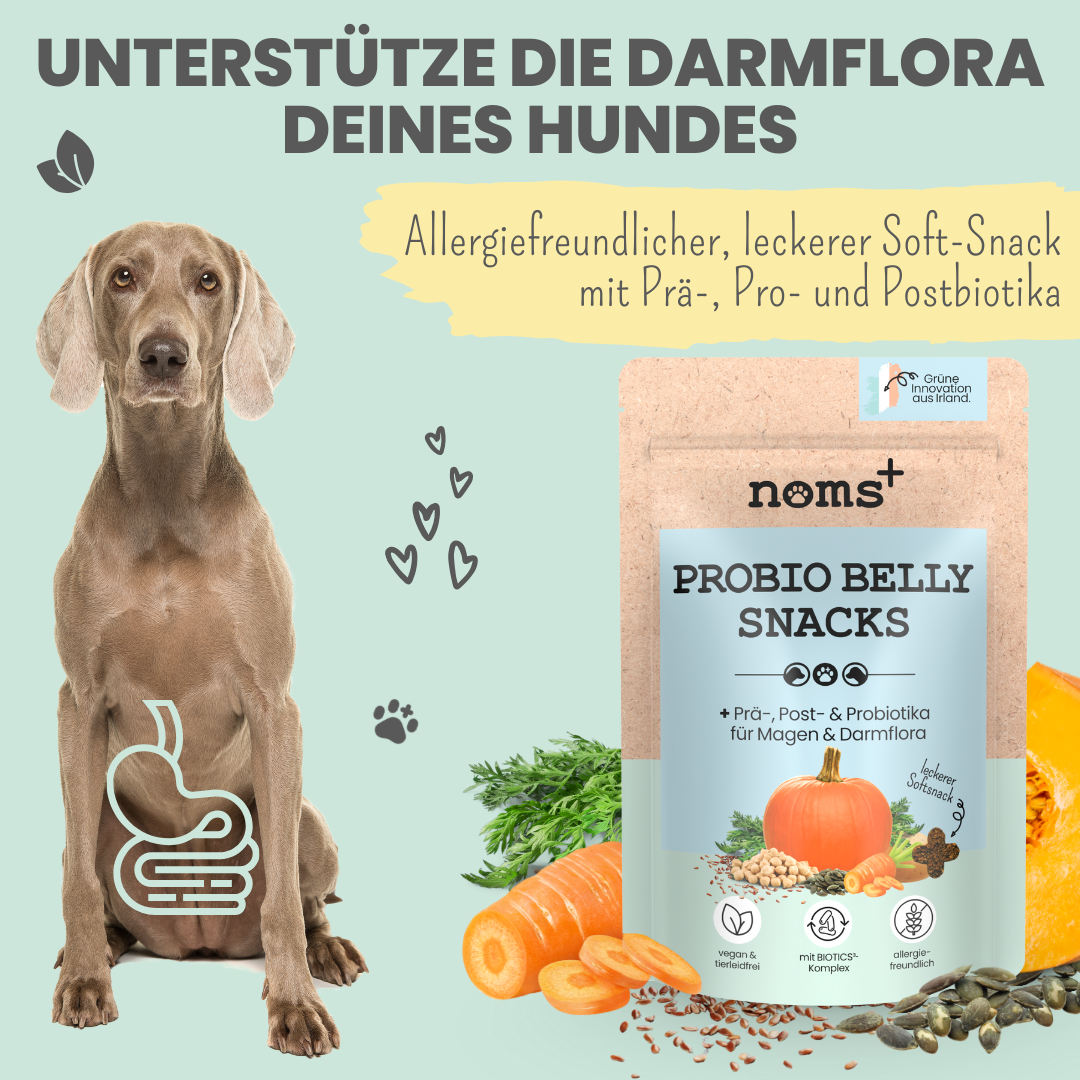 Probio Belly Snacks für Hunde mit BIOTICS³-Komplex: Präbiotika, Probiotika & Postbiotika (200g)