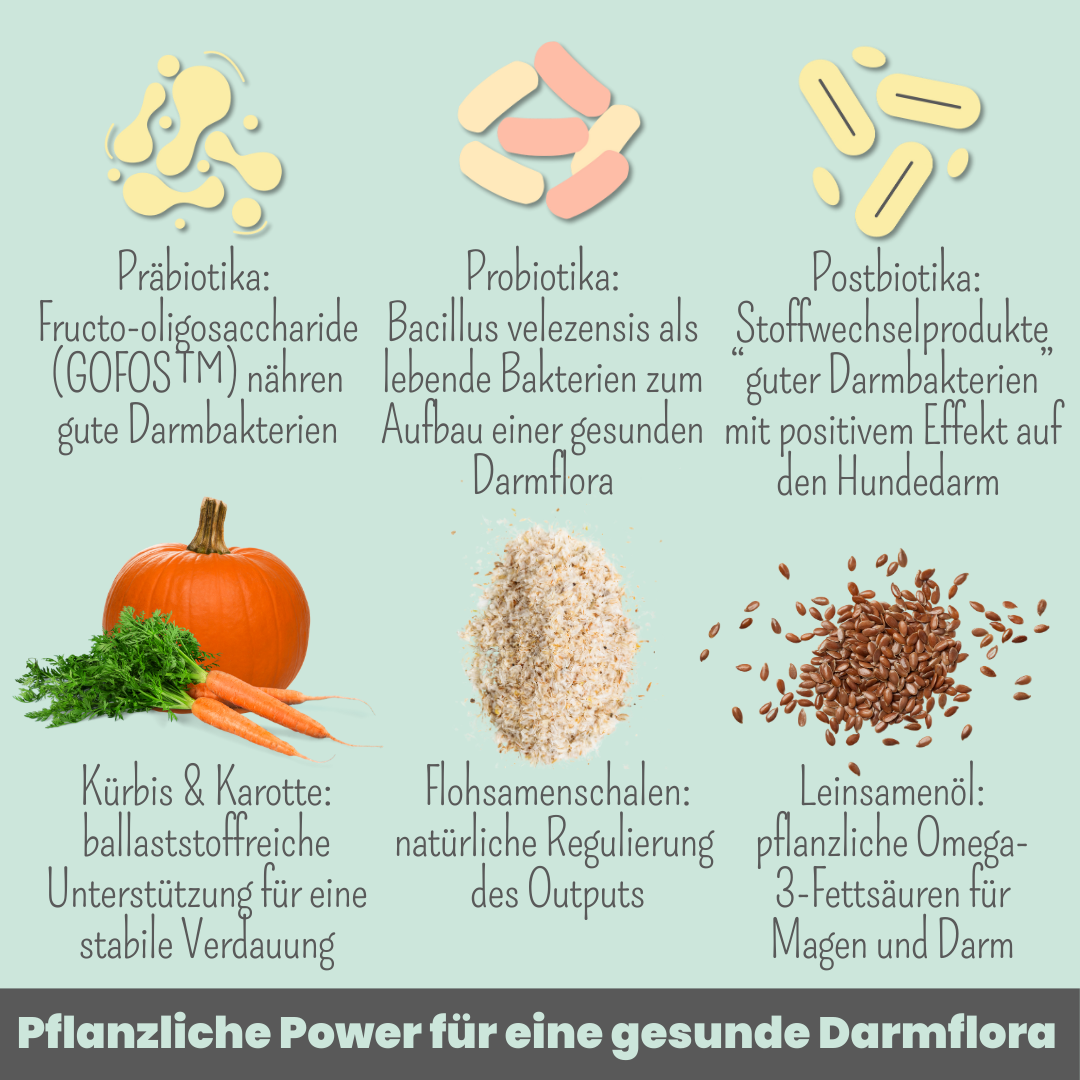 Probio Belly Snacks für Hunde mit BIOTICS³-Komplex: Präbiotika, Probiotika & Postbiotika (200g)