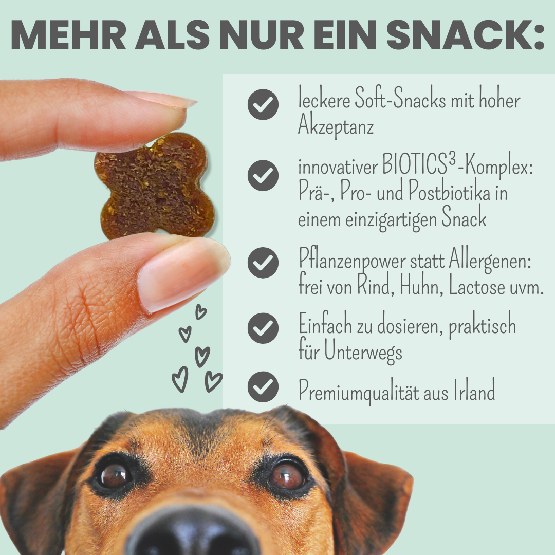 Probio Belly Snacks für Hunde mit BIOTICS³-Komplex: Präbiotika, Probiotika & Postbiotika (200g)