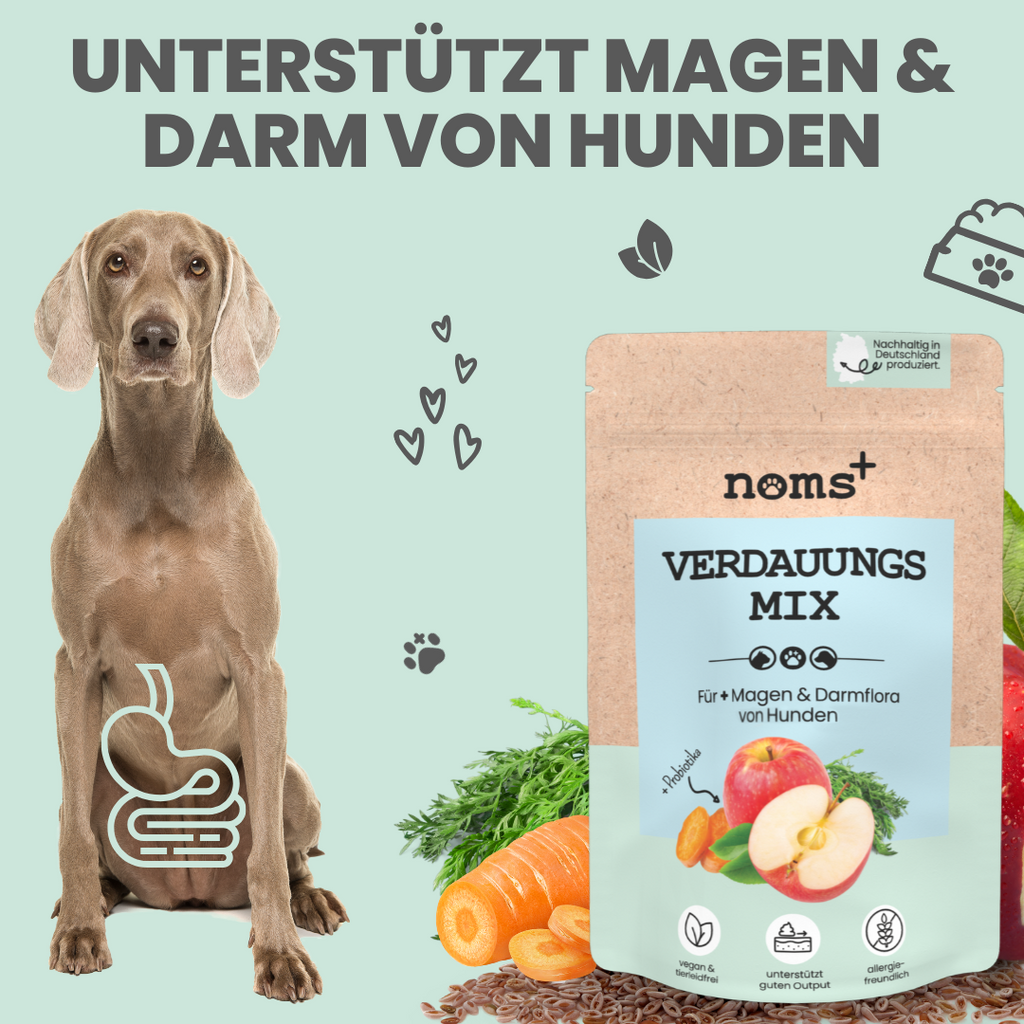 Verdauungsmix für Hunde als Probiotikum für Magen- & Darmflora (150g)
