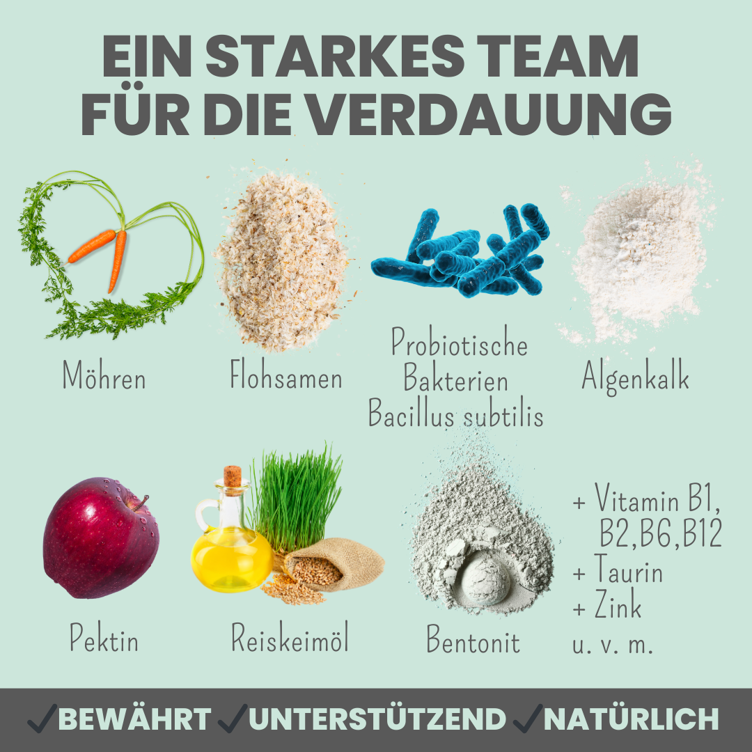 Verdauungsmix für Hunde als Probiotikum für Magen- & Darmflora (150g)